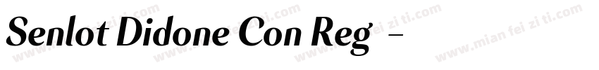 Senlot Didone Con RegI字体转换